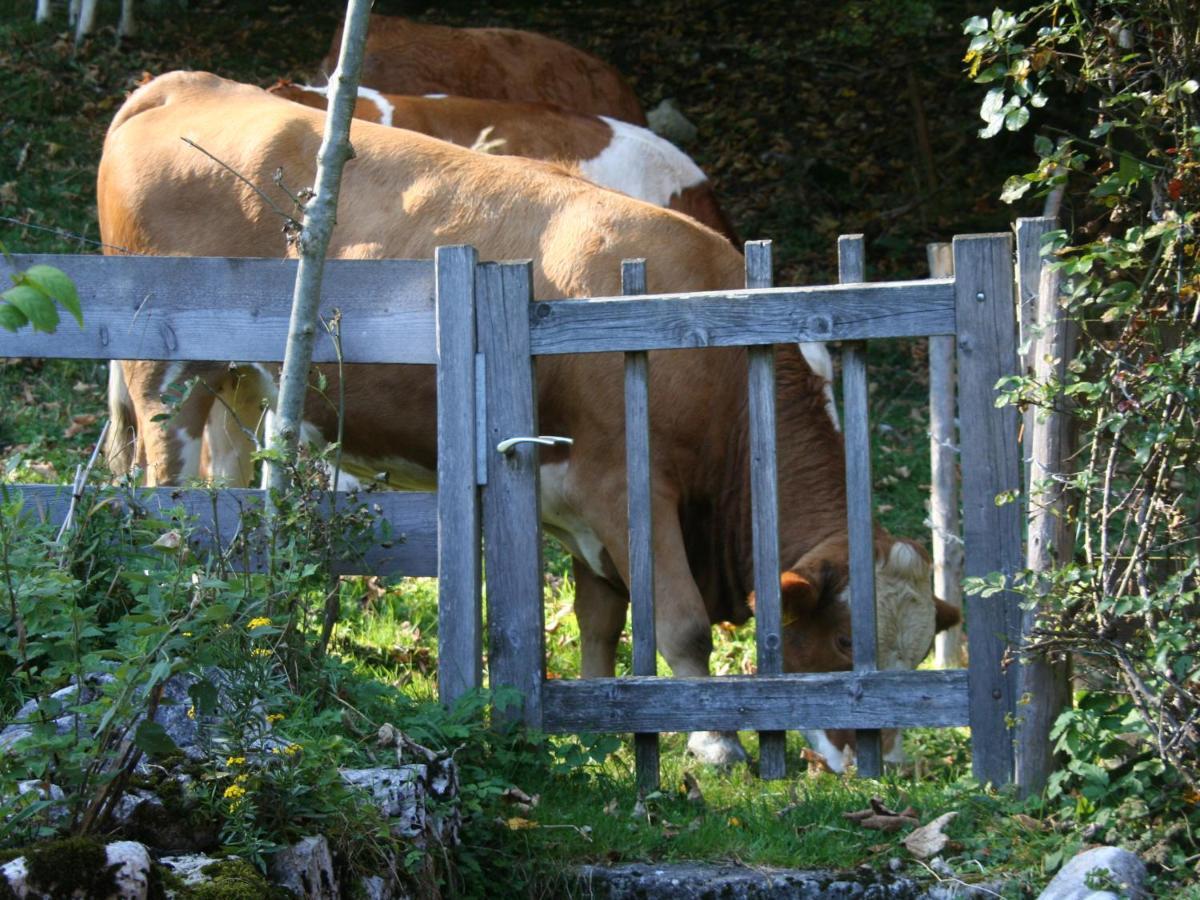 Ferienwohnungen Haus Waldwinkel アシャウ・イム・キームガウ エクステリア 写真