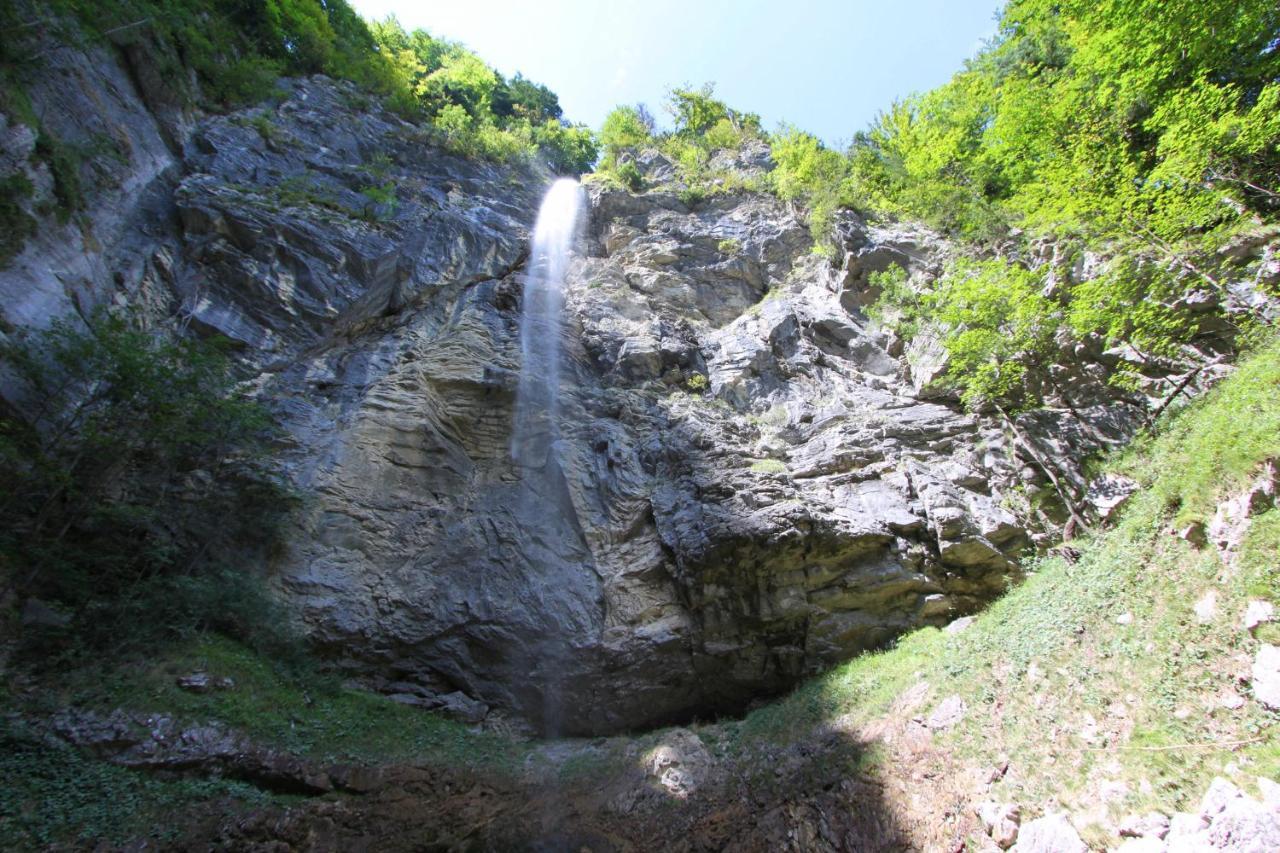 Ferienwohnungen Haus Waldwinkel アシャウ・イム・キームガウ エクステリア 写真